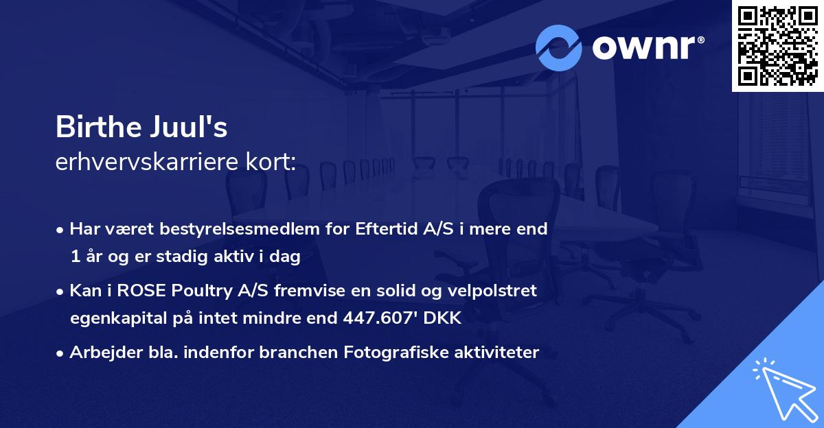 Birthe Juul's erhvervskarriere kort