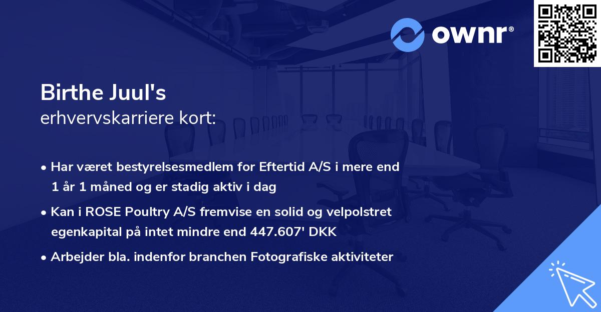 Birthe Juul's erhvervskarriere kort