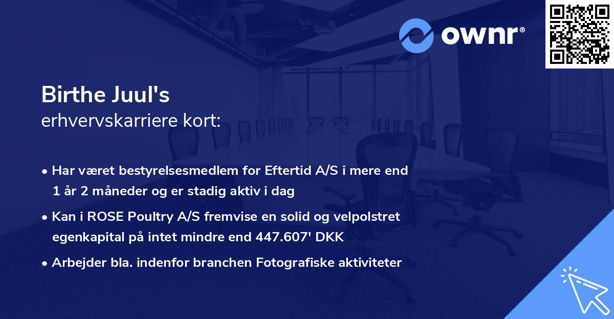 Birthe Juul's erhvervskarriere kort