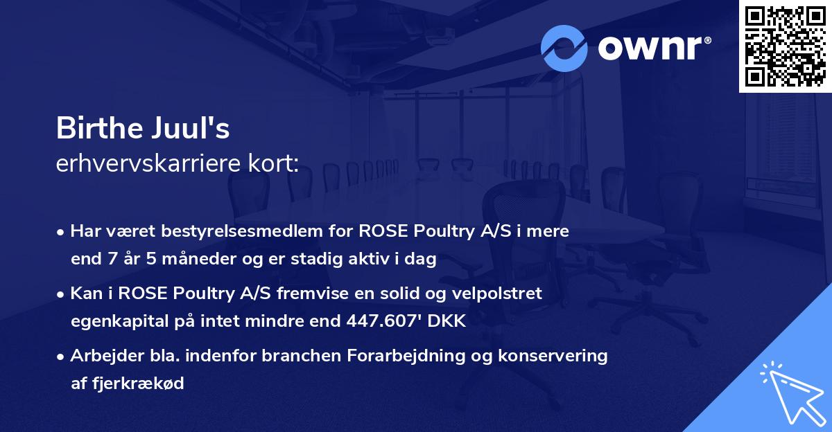 Birthe Juul's erhvervskarriere kort