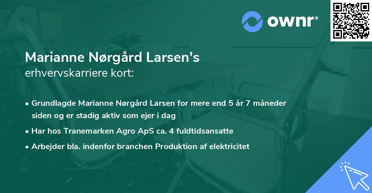 Marianne Nørgård Larsen's erhvervskarriere kort