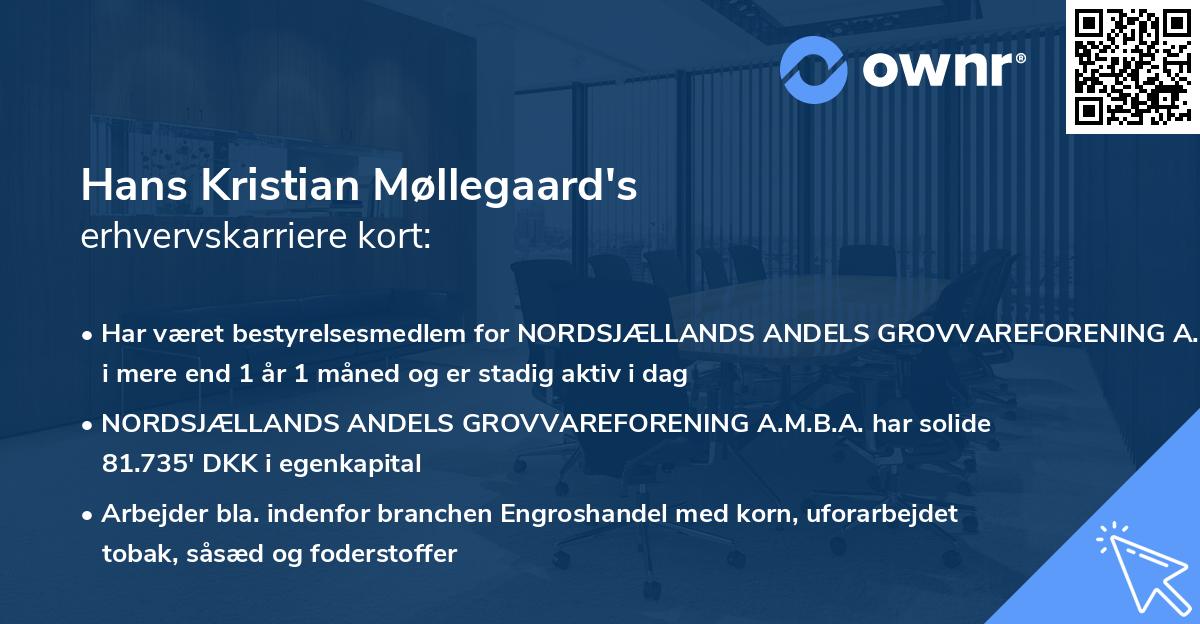 Hans Kristian Møllegaard's erhvervskarriere kort