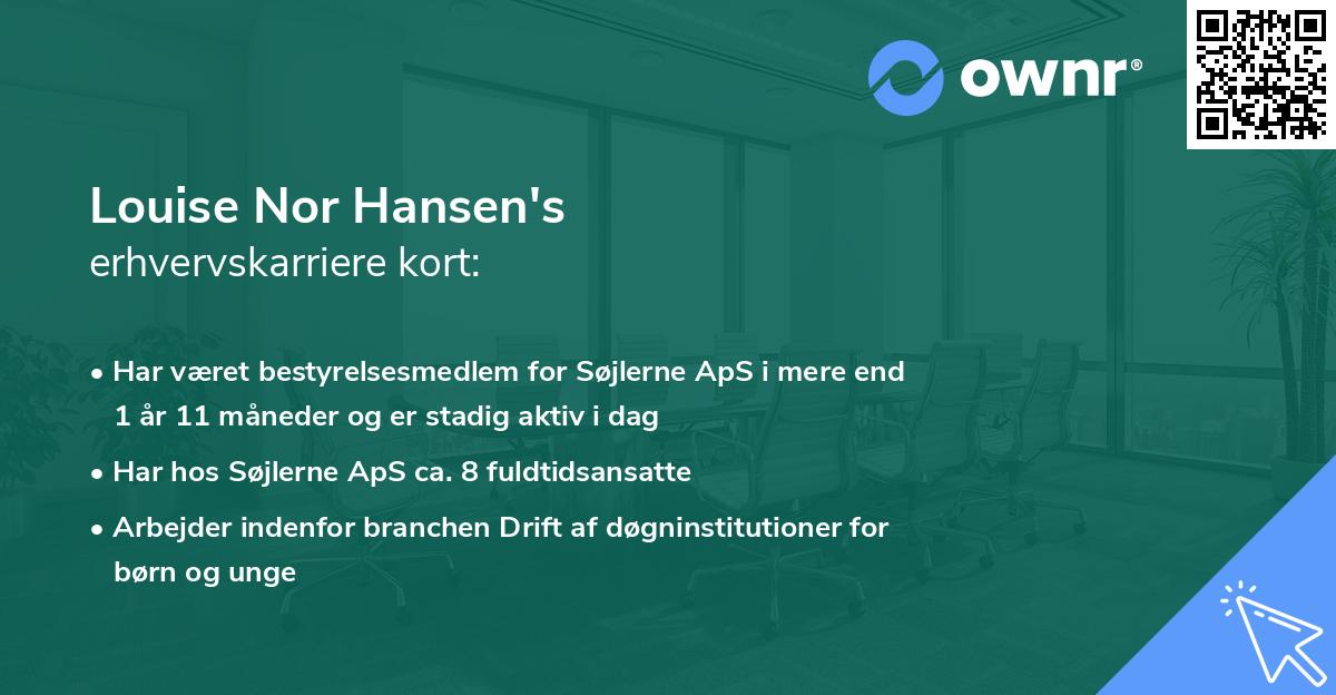 Louise Nor Hansen's erhvervskarriere kort