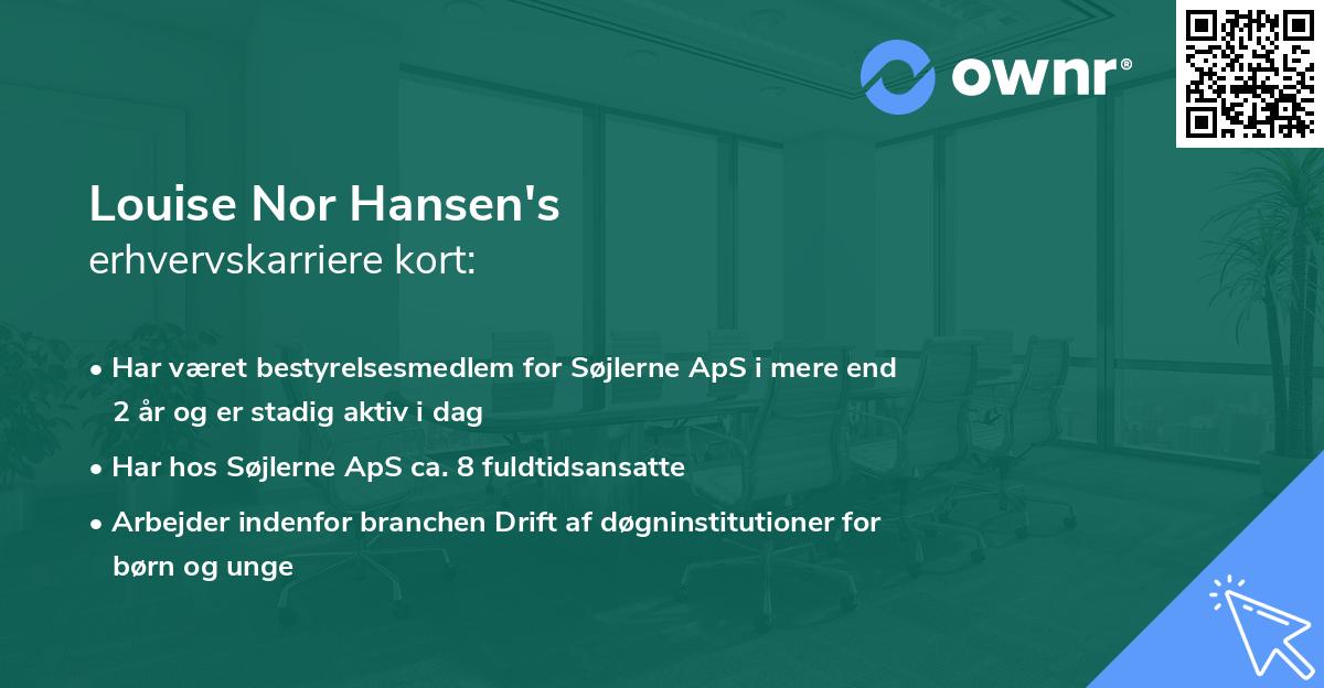 Louise Nor Hansen's erhvervskarriere kort