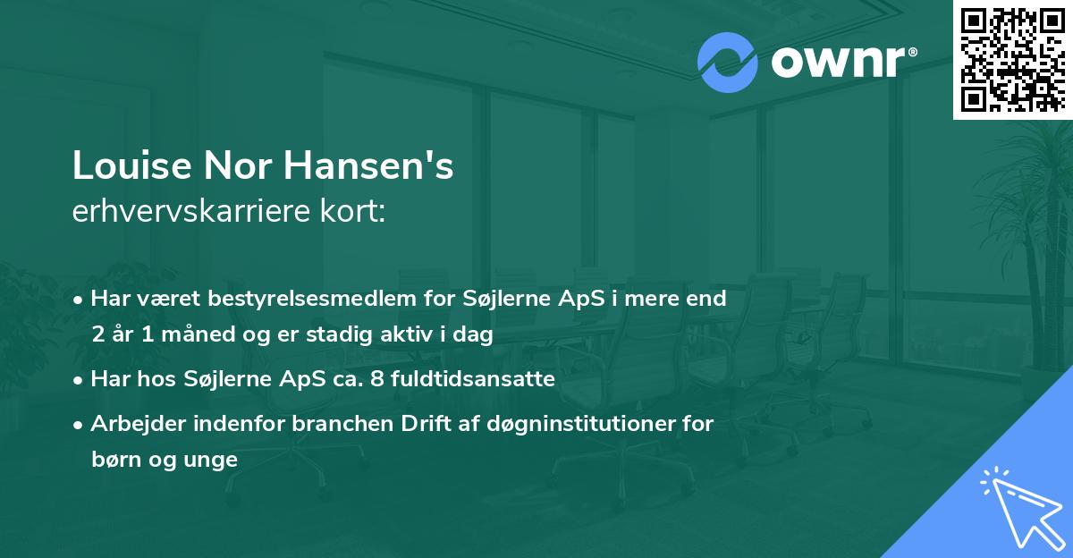 Louise Nor Hansen's erhvervskarriere kort