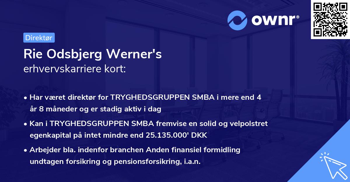 Rie Odsbjerg Werner's erhvervskarriere kort