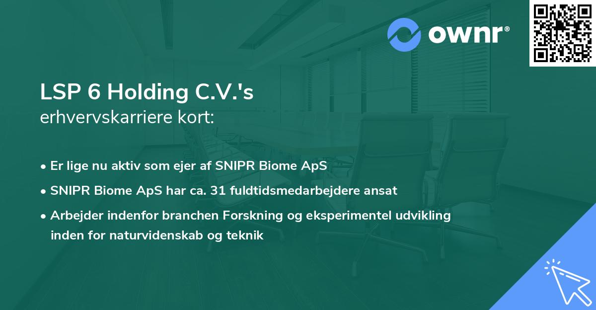 LSP 6 Holding C.V.'s erhvervskarriere kort