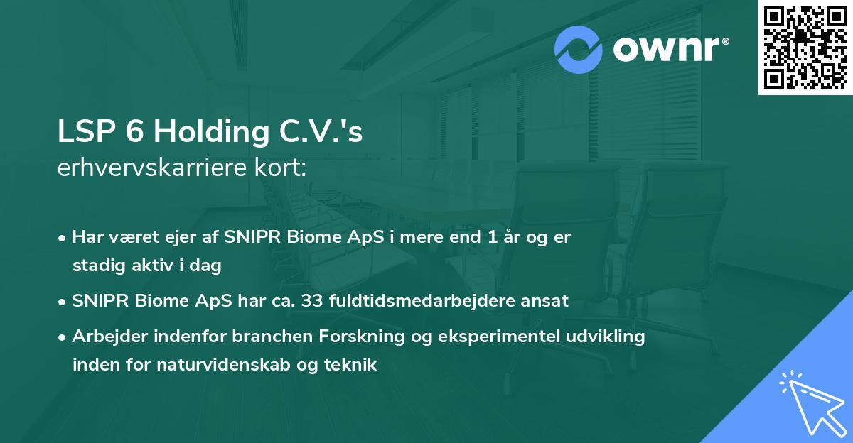 LSP 6 Holding C.V.'s erhvervskarriere kort