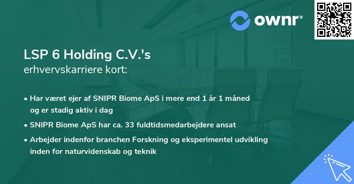 LSP 6 Holding C.V.'s erhvervskarriere kort