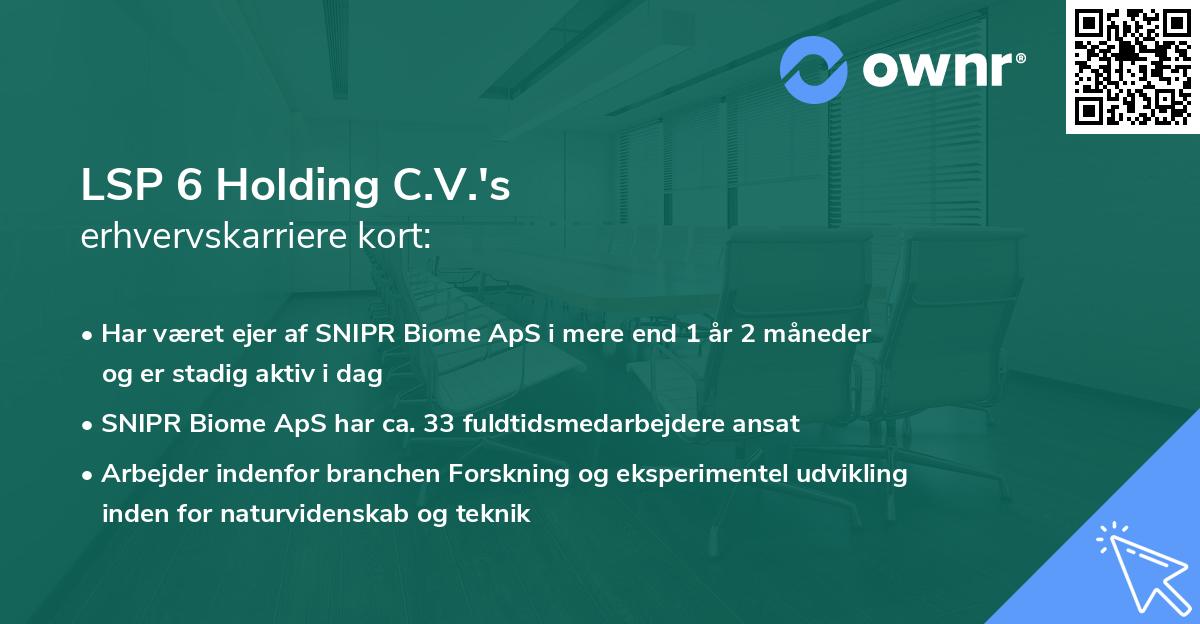 LSP 6 Holding C.V.'s erhvervskarriere kort