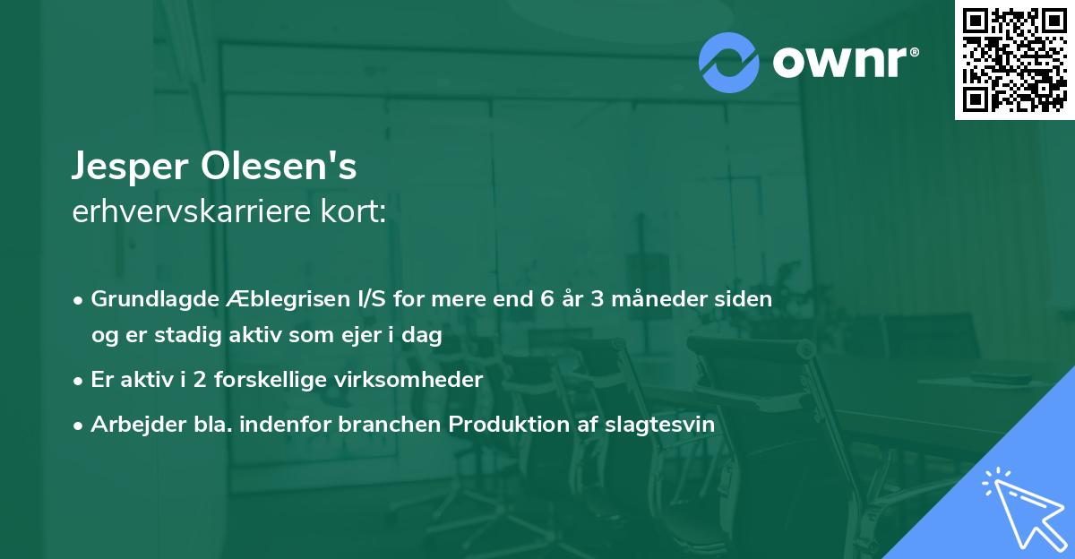Jesper Olesen's erhvervskarriere kort