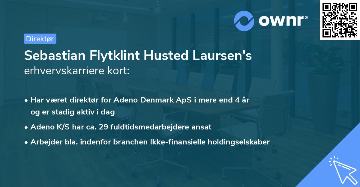 Sebastian Flytklint Husted Laursen's erhvervskarriere kort