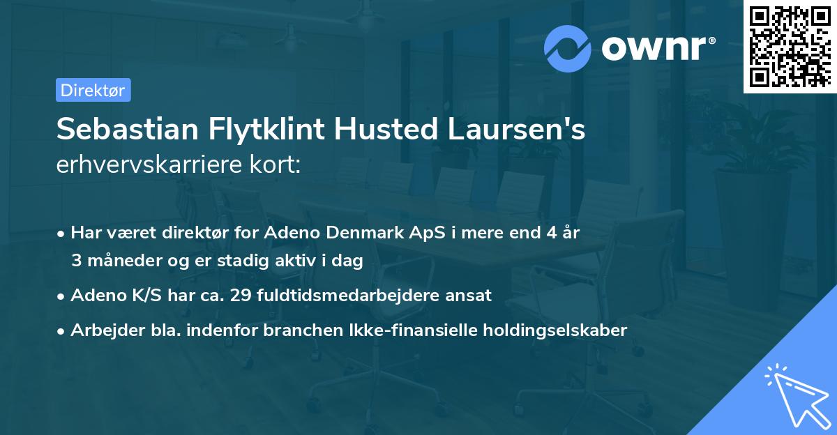 Sebastian Flytklint Husted Laursen's erhvervskarriere kort
