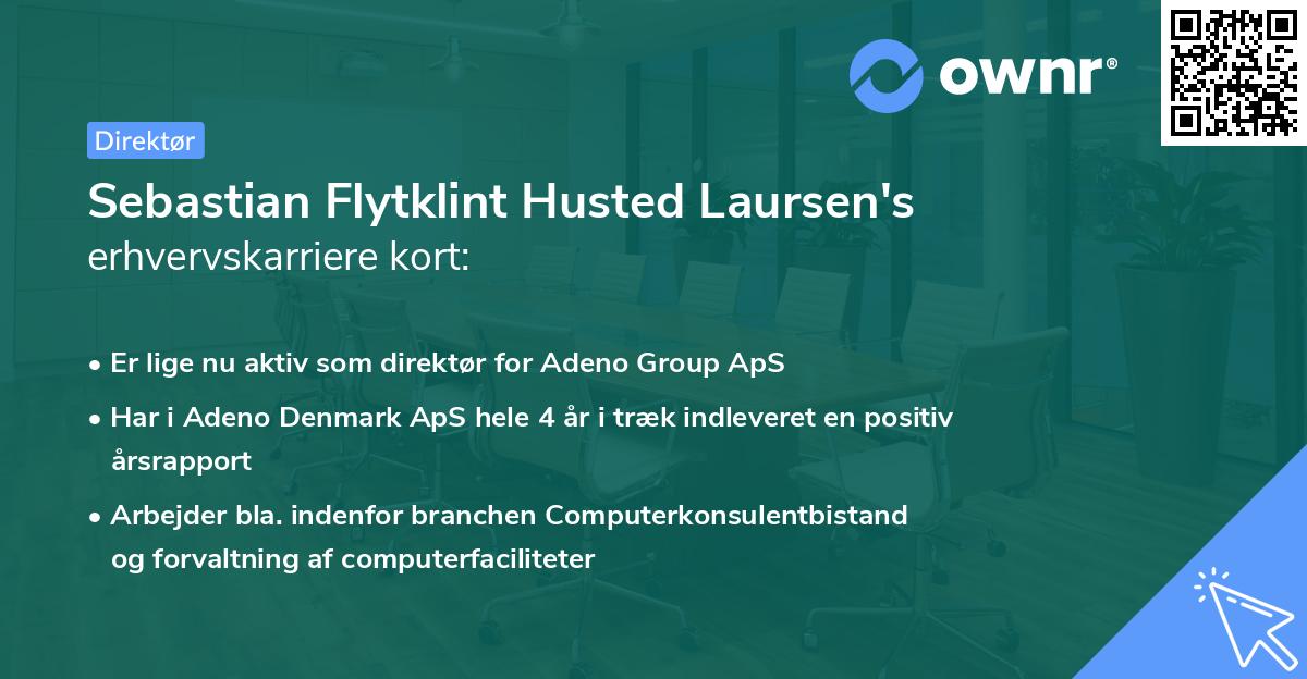 Sebastian Flytklint Husted Laursen's erhvervskarriere kort