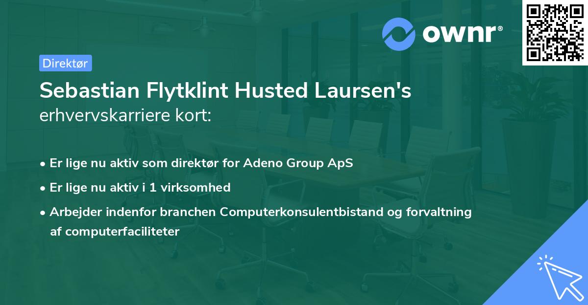 Sebastian Flytklint Husted Laursen's erhvervskarriere kort