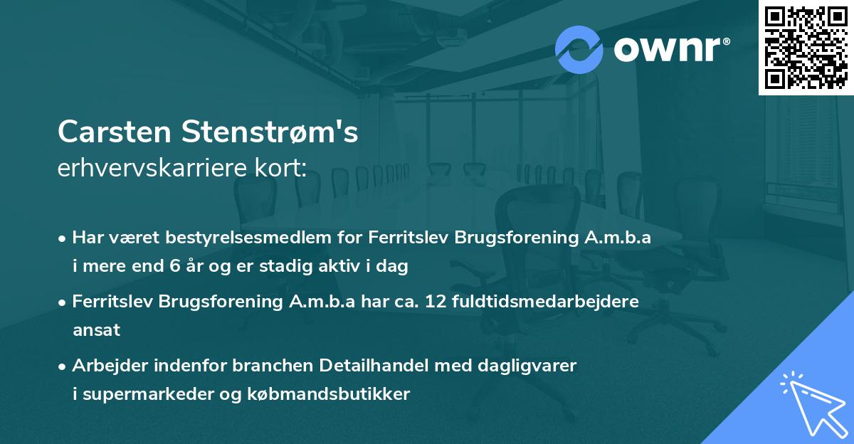 Carsten Stenstrøm's erhvervskarriere kort
