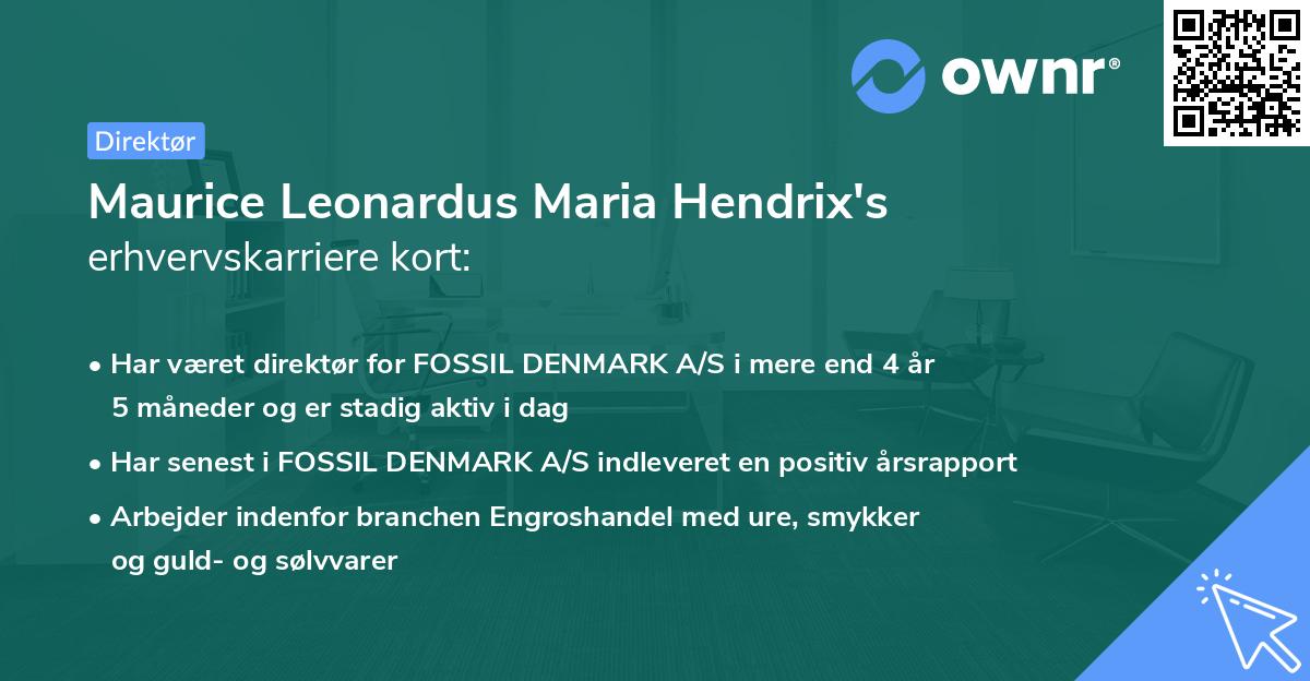 Maurice Leonardus Maria Hendrix's erhvervskarriere kort