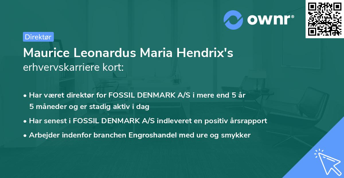 Maurice Leonardus Maria Hendrix's erhvervskarriere kort