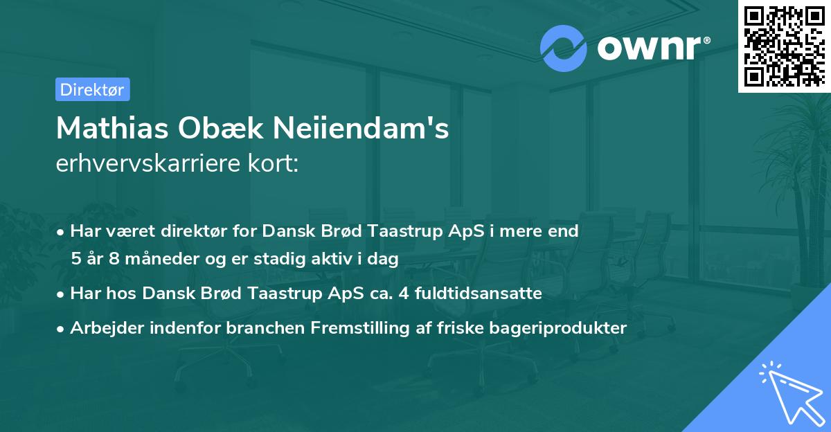 Mathias Obæk Neiiendam's erhvervskarriere kort
