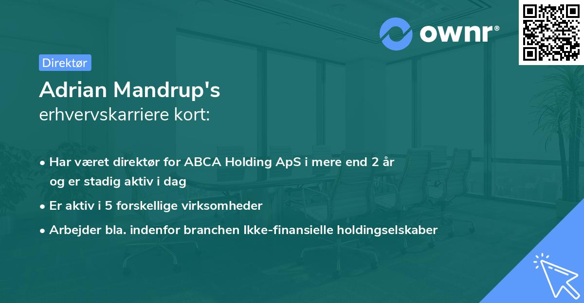 Adrian Mandrup's erhvervskarriere kort