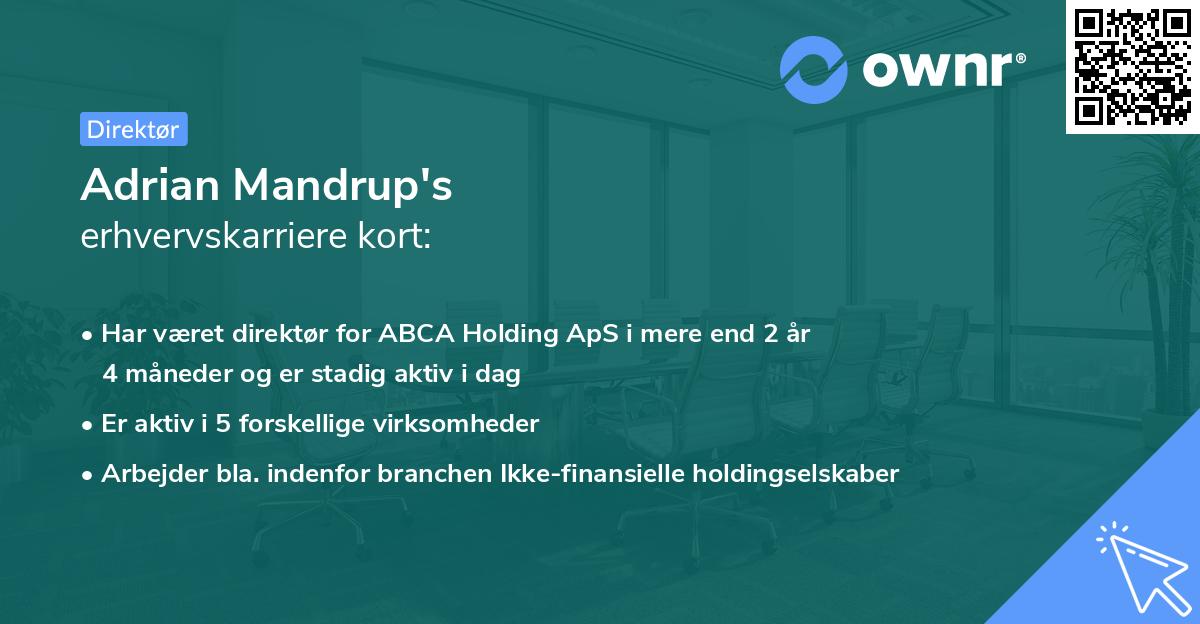 Adrian Mandrup's erhvervskarriere kort