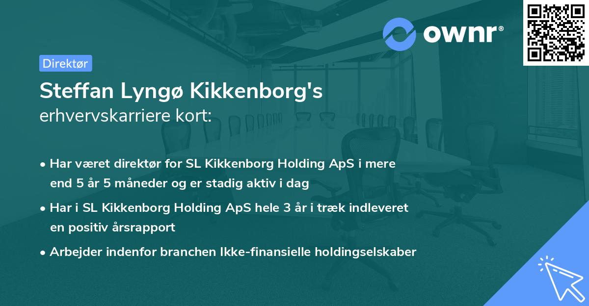 Steffan Lyngø Kikkenborg's erhvervskarriere kort