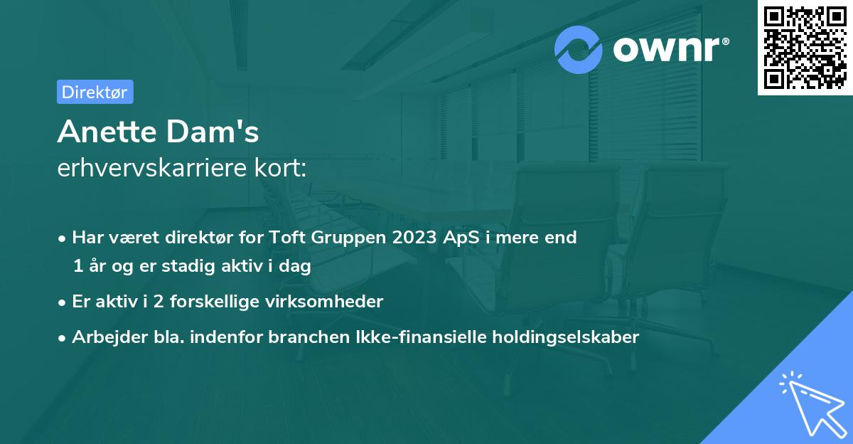Anette Dam's erhvervskarriere kort