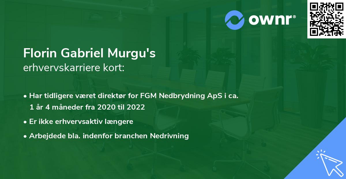 Florin Gabriel Murgu's erhvervskarriere kort