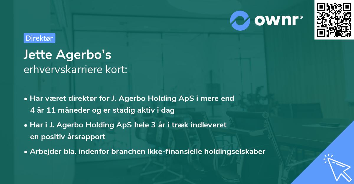 Jette Agerbo's erhvervskarriere kort