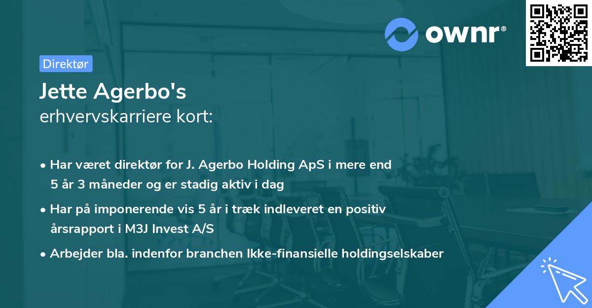 Jette Agerbo's erhvervskarriere kort