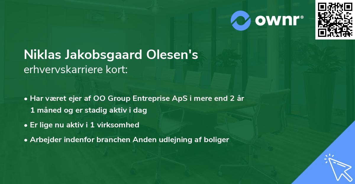 Niklas Jakobsgaard Olesen's erhvervskarriere kort