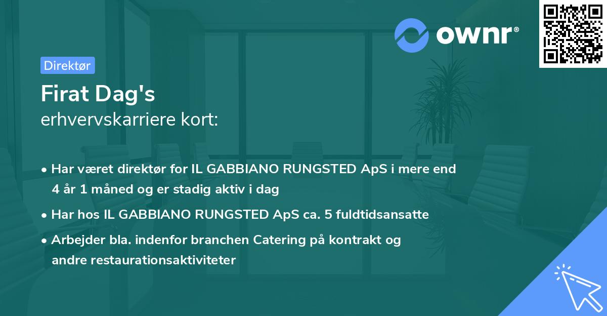 Firat Dag's erhvervskarriere kort