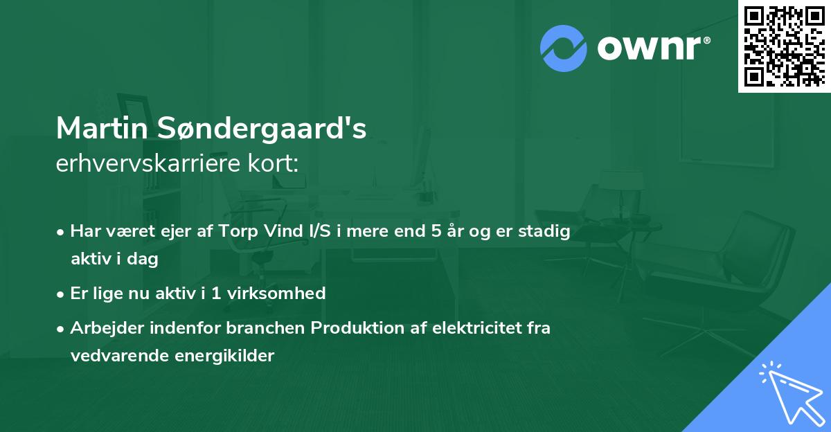 Martin Søndergaard's erhvervskarriere kort