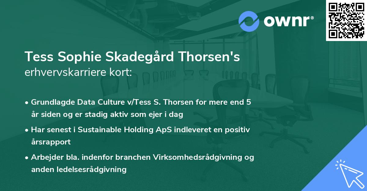 Tess Sophie Skadegård Thorsen's erhvervskarriere kort
