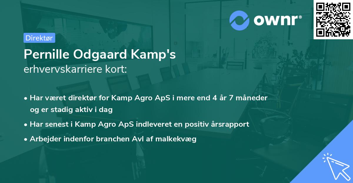Pernille Odgaard Kamp's erhvervskarriere kort
