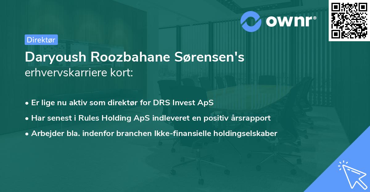 Daryoush Roozbahane Sørensen's erhvervskarriere kort