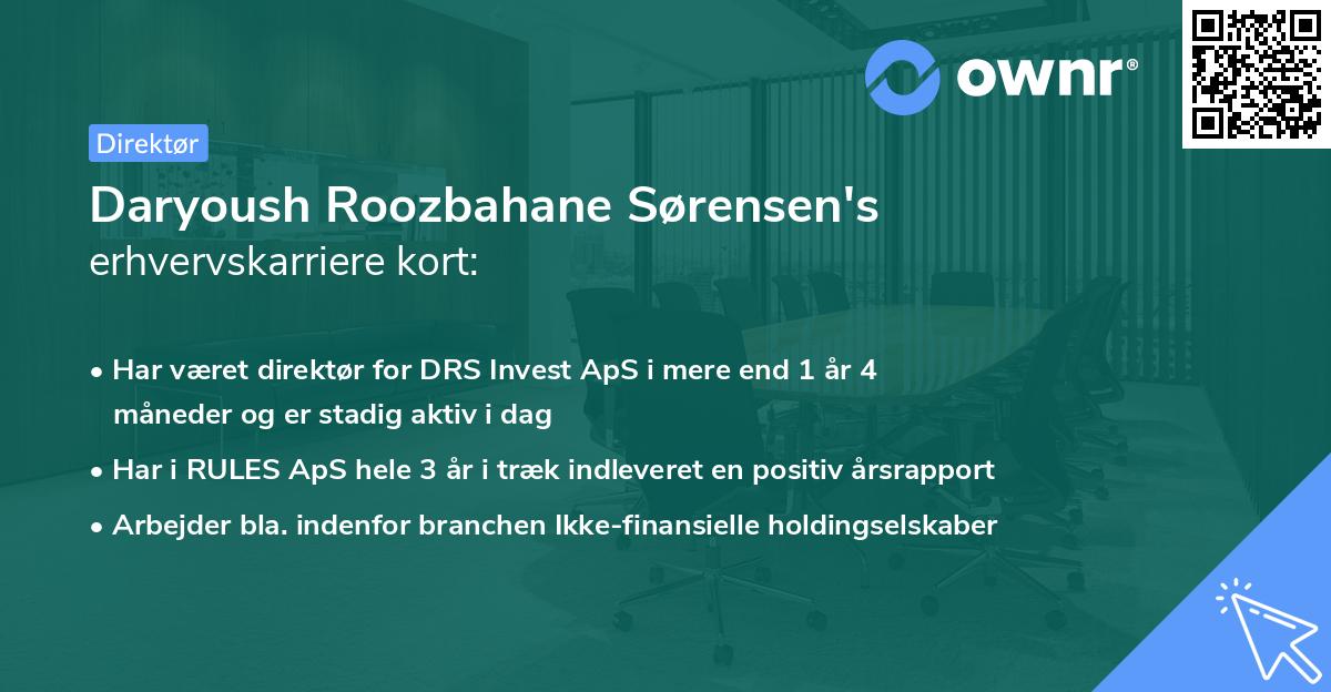Daryoush Roozbahane Sørensen's erhvervskarriere kort