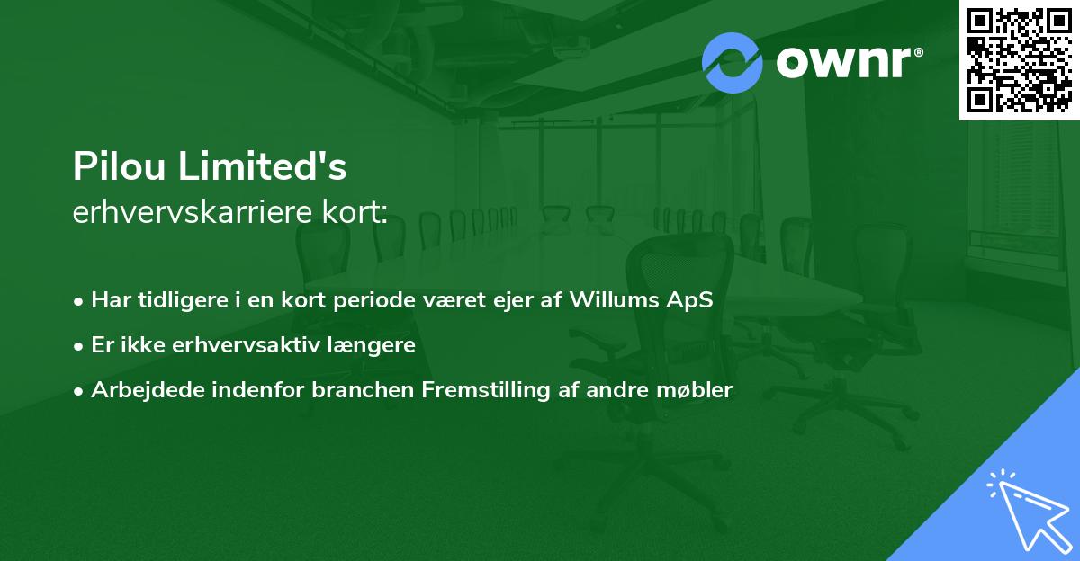 Pilou Limited's erhvervskarriere kort