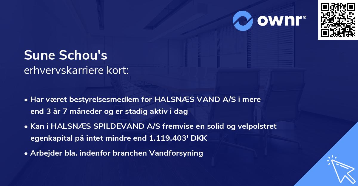 Sune Schou's erhvervskarriere kort