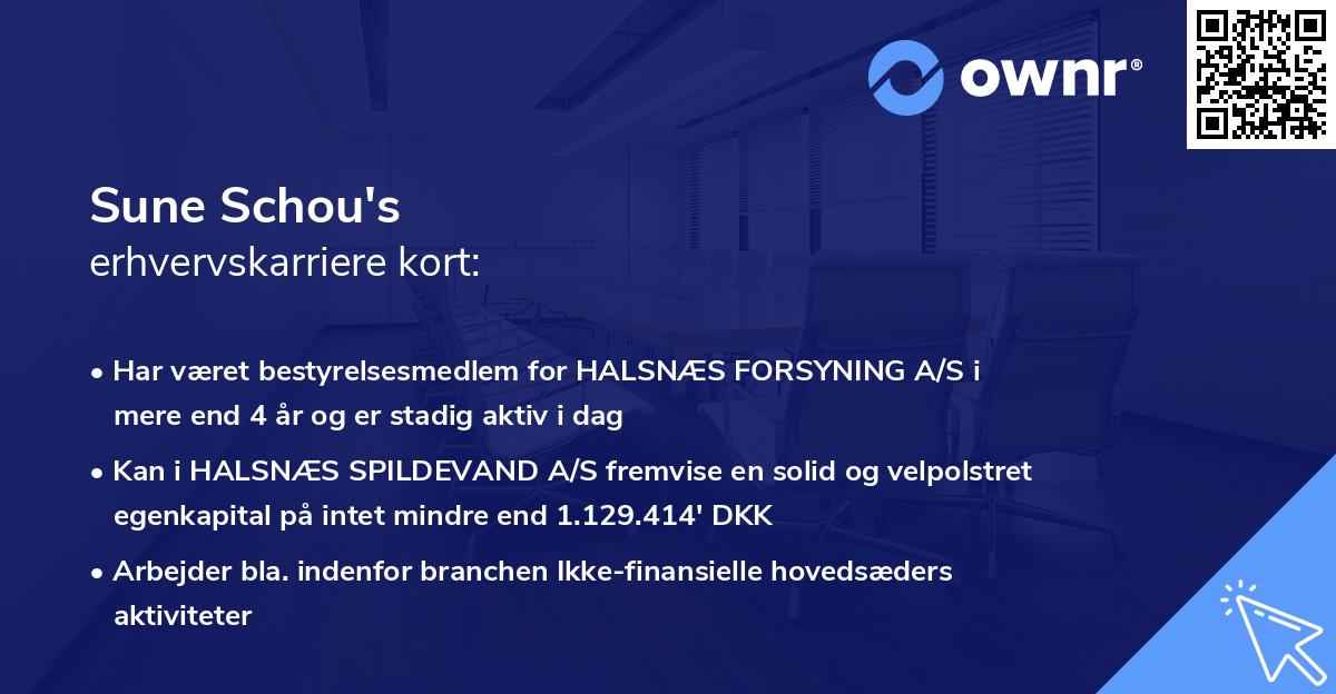 Sune Schou's erhvervskarriere kort