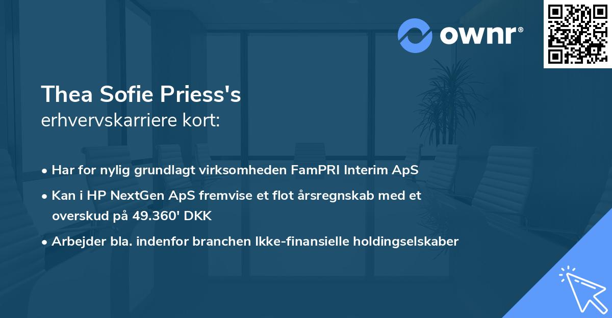 Thea Sofie Priess's erhvervskarriere kort