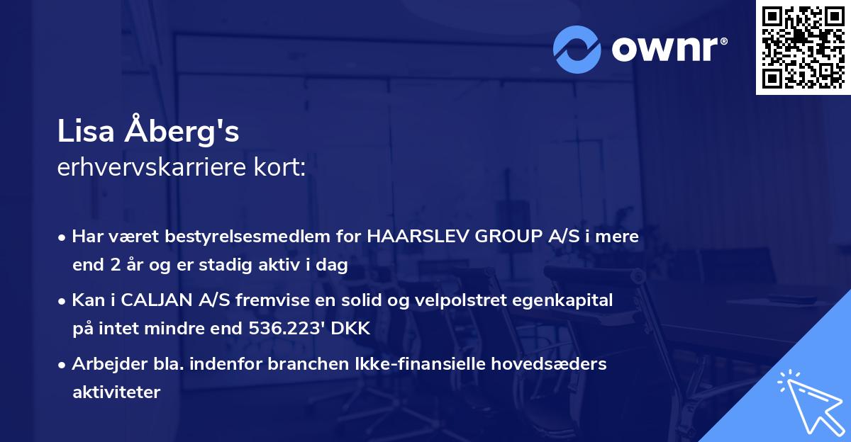 Lisa Åberg's erhvervskarriere kort
