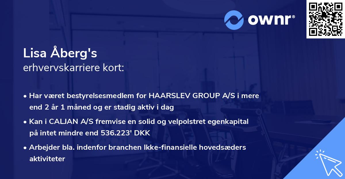 Lisa Åberg's erhvervskarriere kort