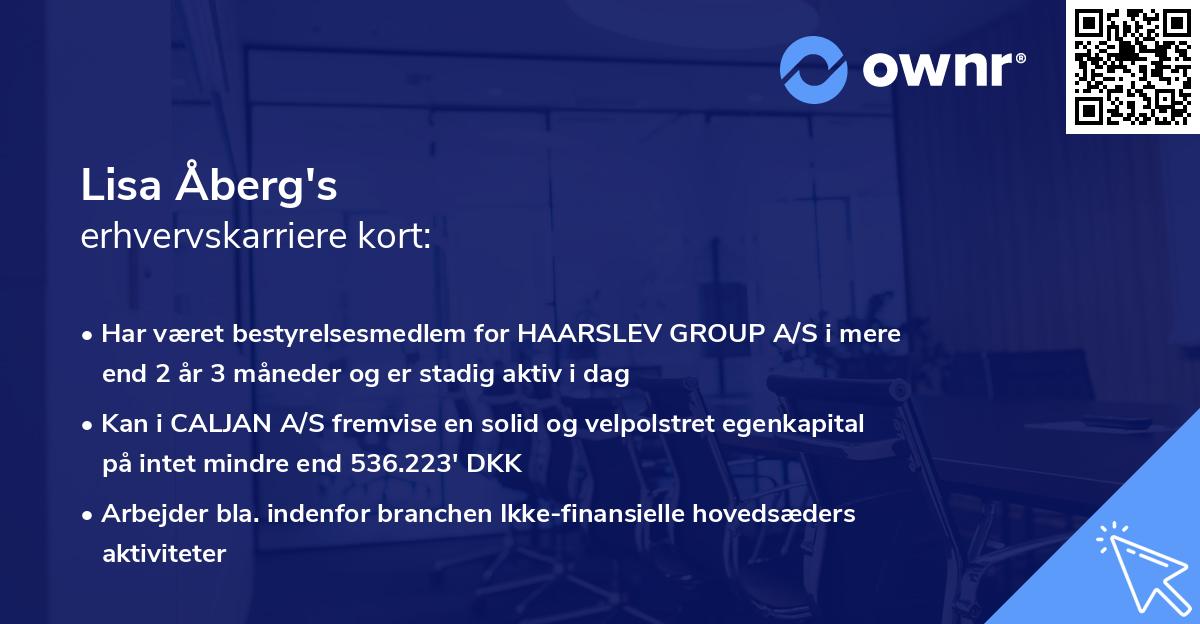 Lisa Åberg's erhvervskarriere kort