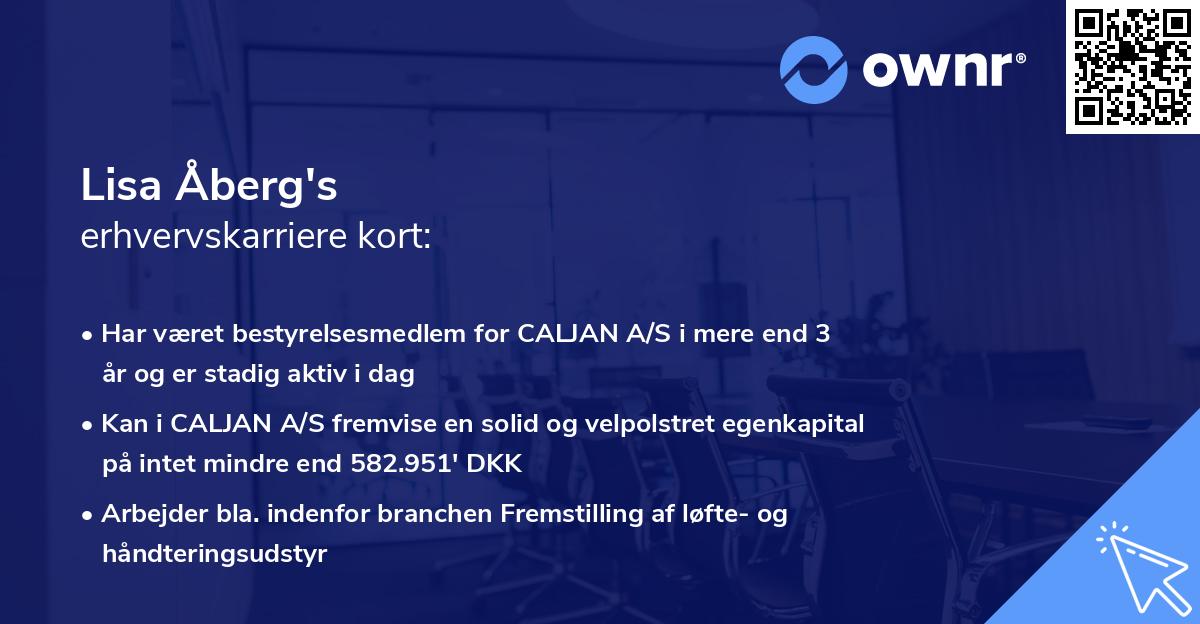 Lisa Åberg's erhvervskarriere kort