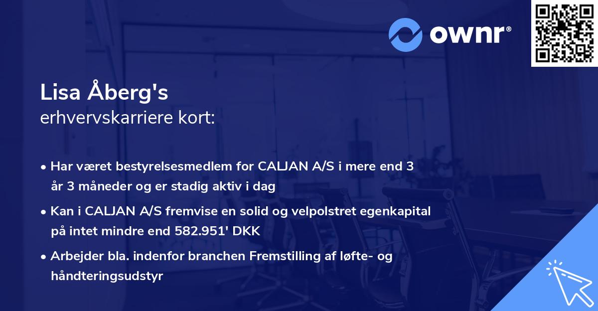 Lisa Åberg's erhvervskarriere kort