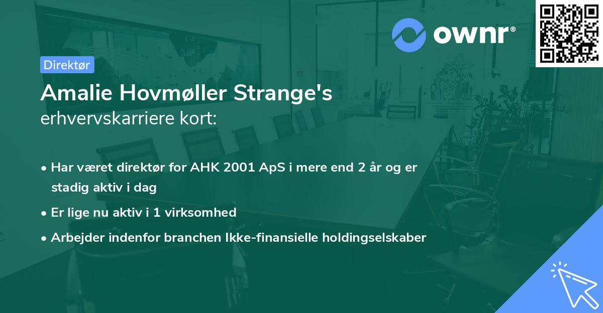 Amalie Hovmøller Strange's erhvervskarriere kort