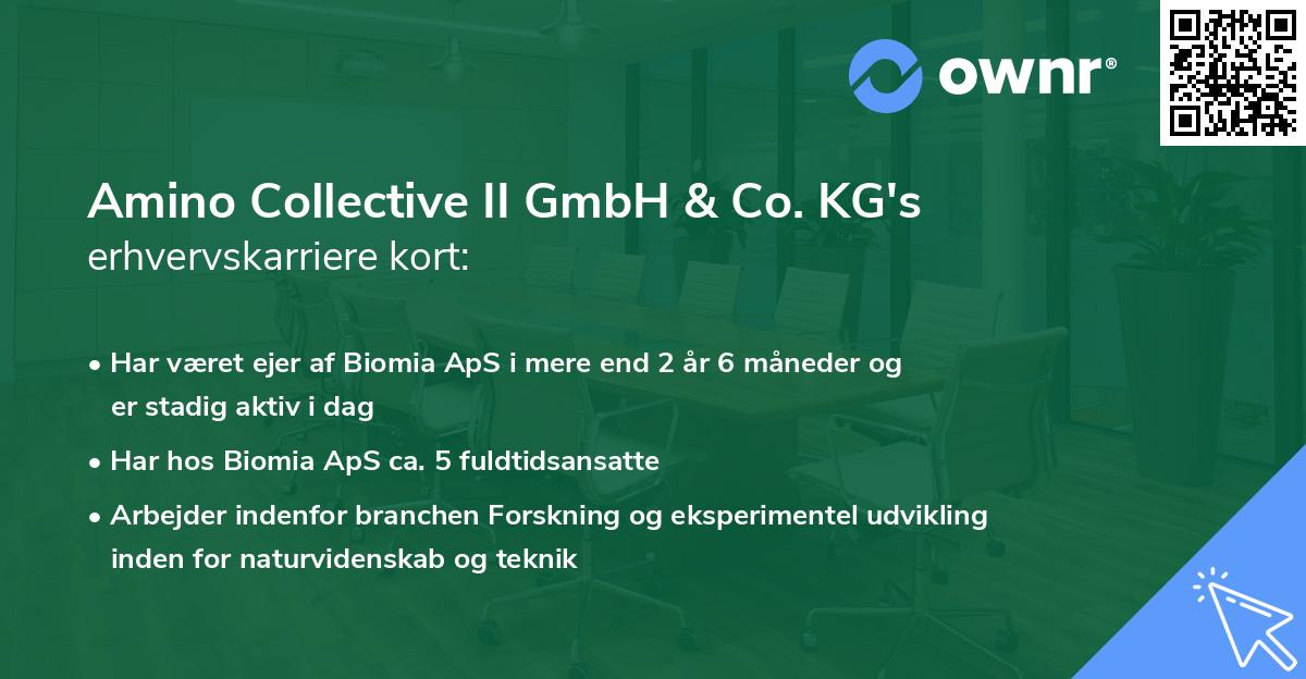Amino Collective II GmbH & Co. KG's erhvervskarriere kort