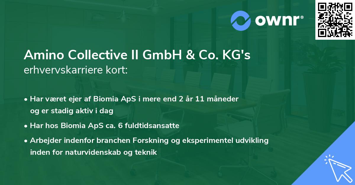 Amino Collective II GmbH & Co. KG's erhvervskarriere kort