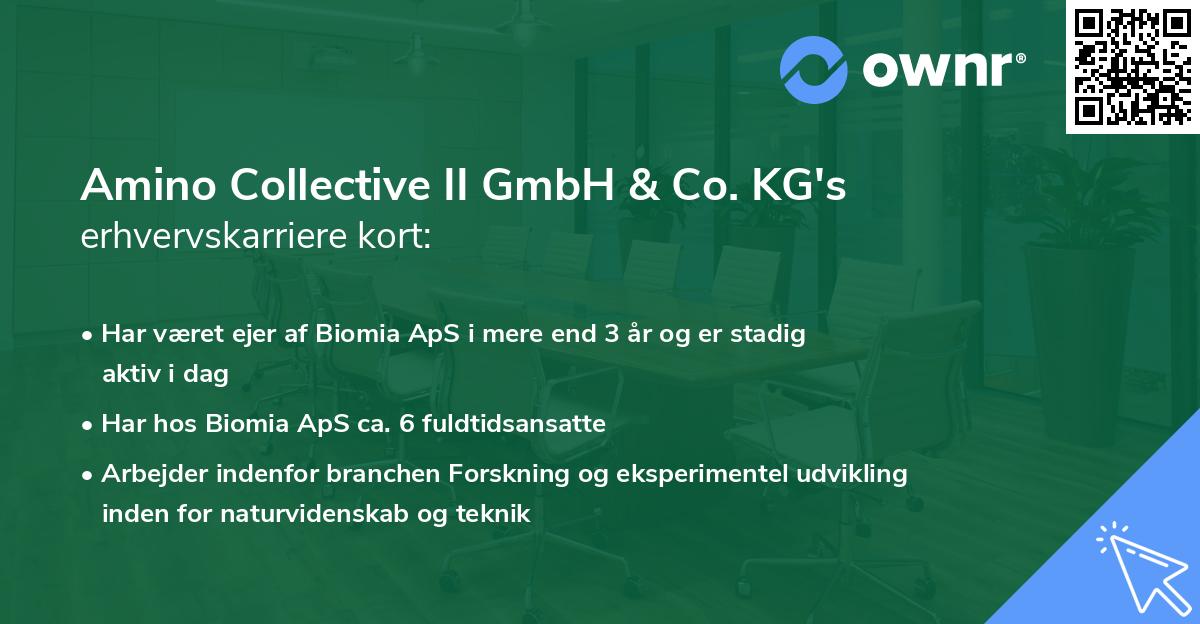Amino Collective II GmbH & Co. KG's erhvervskarriere kort